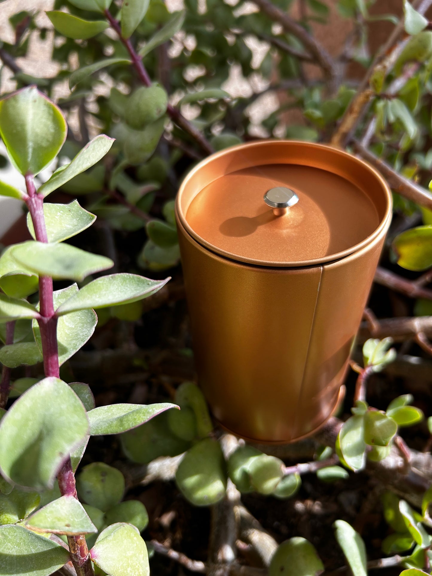 Hormonal Balance Acne Tea