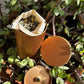 Hormonal Balance Acne Tea