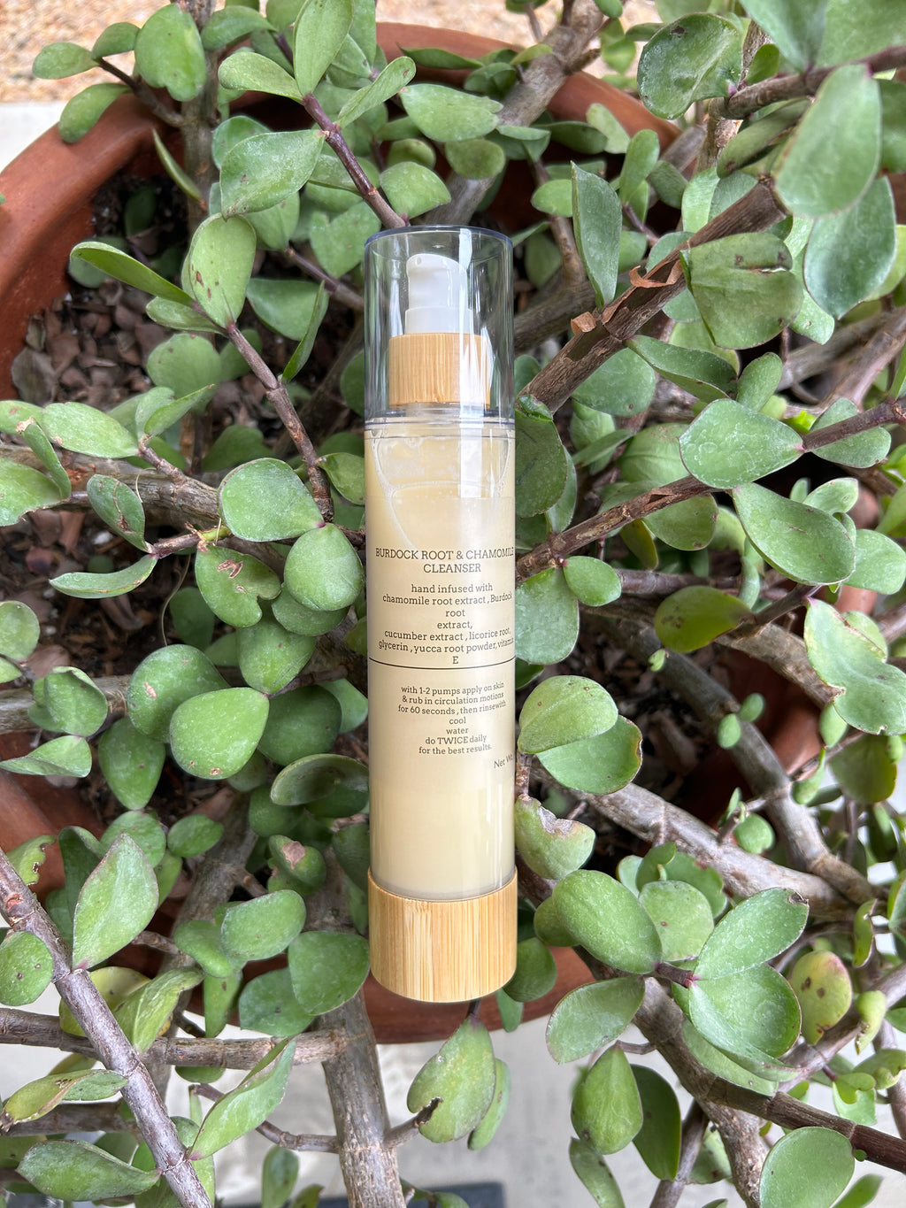 ʙᴜʀᴅᴏᴄᴋ ʀᴏᴏᴛ & ᴄʜᴀᴍᴏᴍɪʟᴇ ᴀᴄɴᴇ ᴄʟᴇᴀɴsᴇʀ